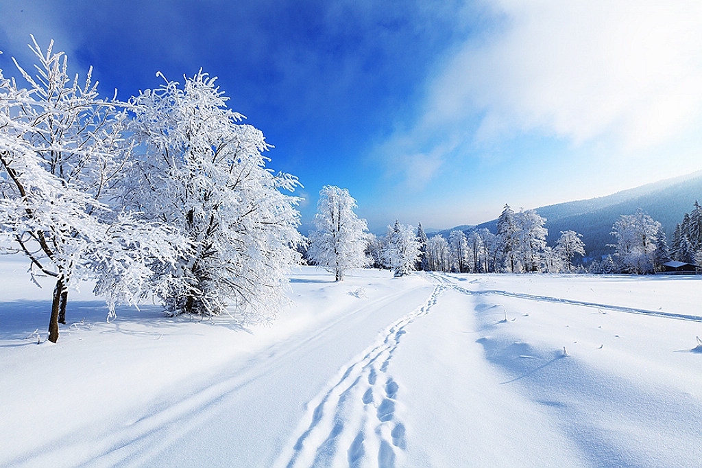 冰雪世界