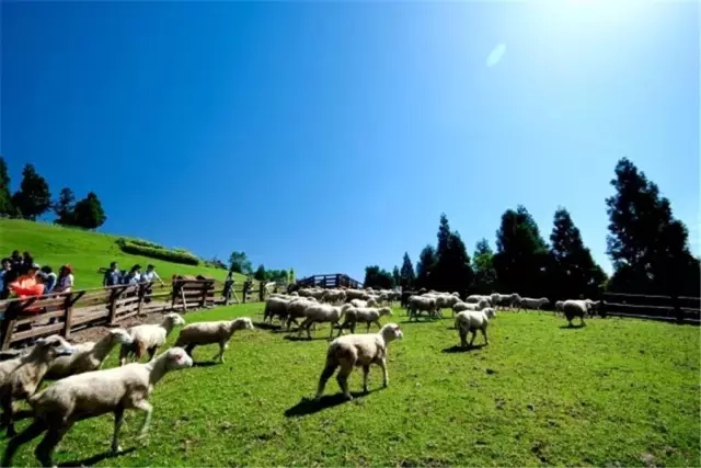 中国乡村旅游的人文模式