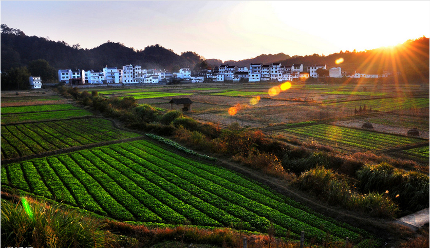 美丽乡村景观在风景园林规划与设计中的意义