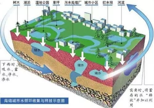 平顶山入选海绵城市试点 你知道海绵城市啥意思吗？