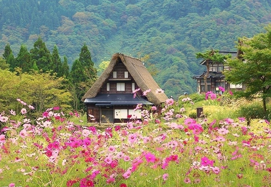 美丽乡村规划景观的田园审美