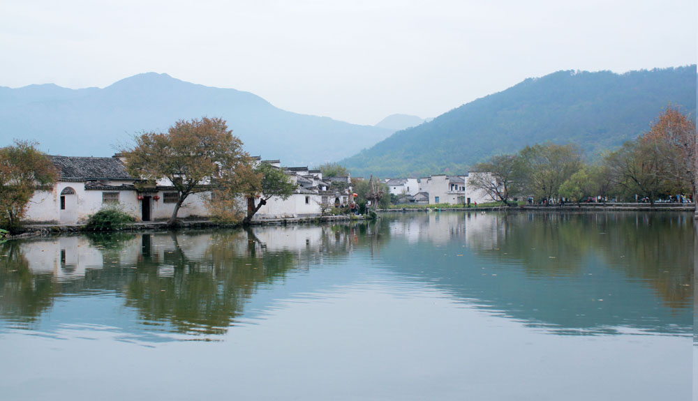 乡村景观