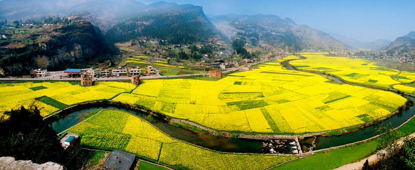 乡村旅游规划